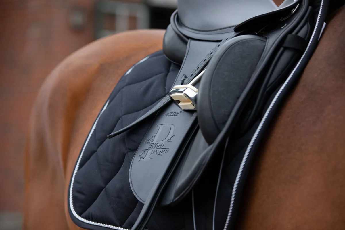 Pausche am Evo D Dressursattel